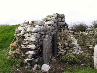 Church Ruin at Tullabracky