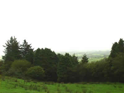 View of surrounding countryside from Monagea mass cross