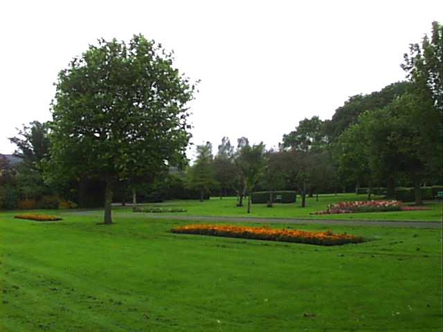 Park in St Patrick's Parish