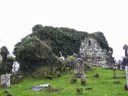 Ruined Church in Ardpatrick Graveyard